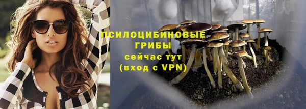 ECSTASY Алексин