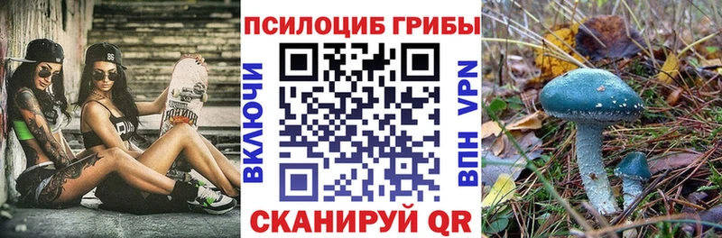 Галлюциногенные грибы прущие грибы  Тейково 