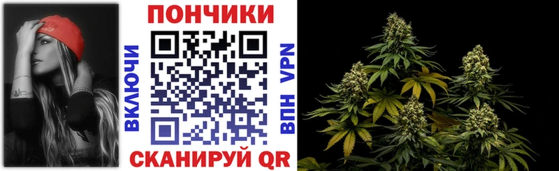 Шишки марихуана гибрид  наркотики  Тейково 